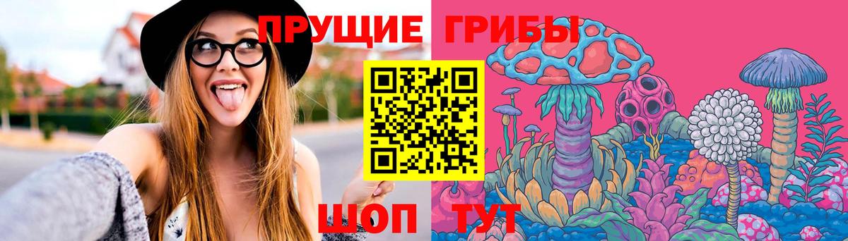 Красноуфимск  Псилоцибиновые грибы мухоморы  Вход с VPN 